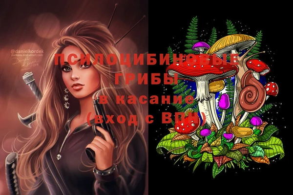 2c-b Няндома