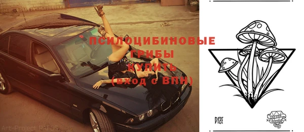 дживик Нягань