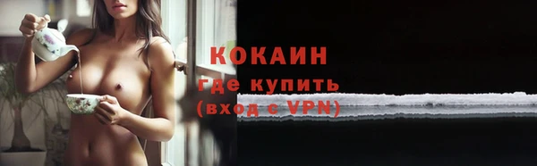 дживик Нягань