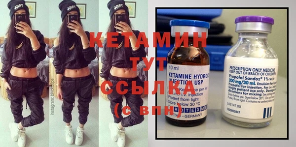 крисы Новодвинск