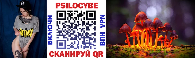Галлюциногенные грибы Psilocybe  Ликино-Дулёво 